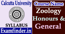 Calcutta University Syllabus